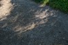 2017-08-21 Eclipse 125